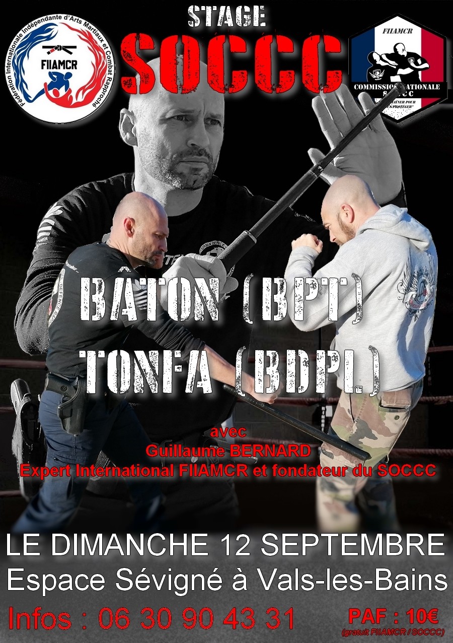 Stage baton tonfa